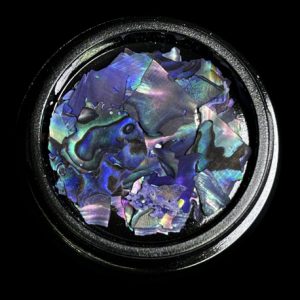 MAGPIE Shells | BLUE