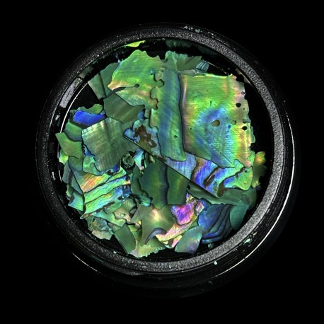 MAGPIE Shells | GREEN