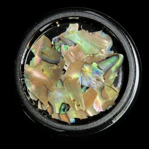 MAGPIE Shells | NATURAL