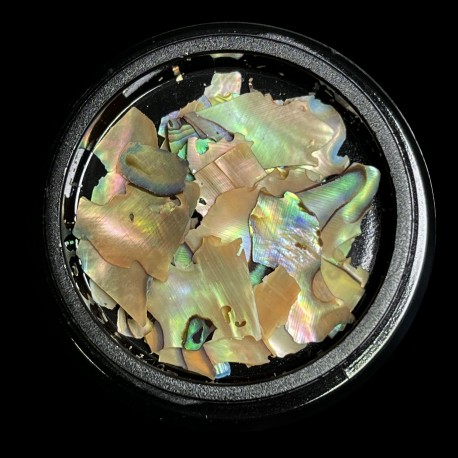 MAGPIE Shells | NATURAL