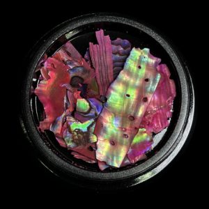 MAGPIE Shells | PINK