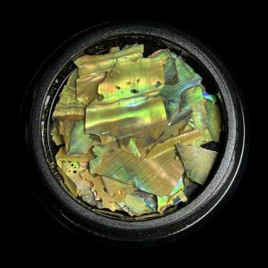 MAGPIE Shells | YELLOW